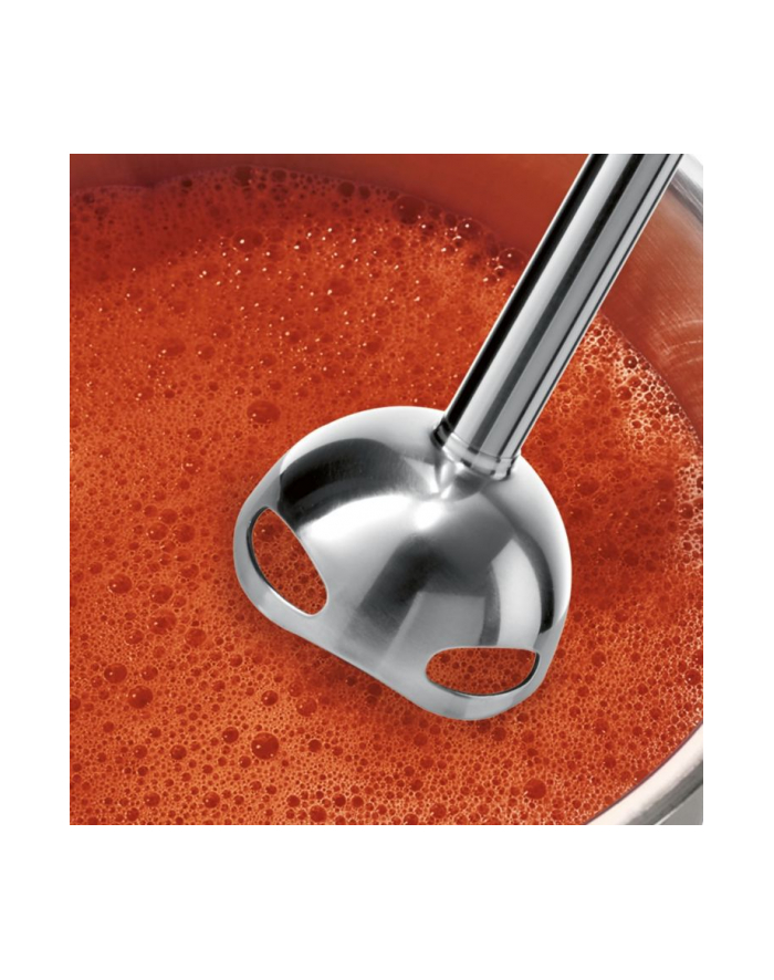 Bosch ErgoMixx MS6CB61V1, stick blender (black / red, vacuum cling System) główny