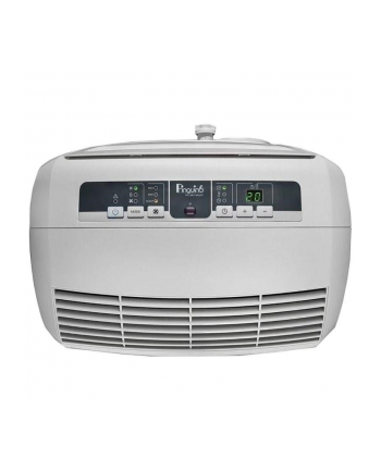 DeLonghi Pinguino PAC N77 Eco, air conditioner (White)