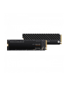 Dysk WD Black SN750 WDS100T3XHC (1 TB ; M2; PCIe NVMe 30 x4) - nr 24