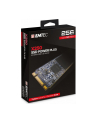 Emtec X250 SSD Power Plus 256 GB Solid State Drive (SATA 6 GB / s, M.2) - nr 10