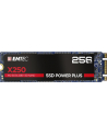 Emtec X250 SSD Power Plus 256 GB Solid State Drive (SATA 6 GB / s, M.2) - nr 11