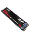 Emtec X250 SSD Power Plus 256 GB Solid State Drive (SATA 6 GB / s, M.2) - nr 17