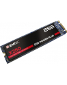 Emtec X250 SSD Power Plus 256 GB Solid State Drive (SATA 6 GB / s, M.2) - nr 7