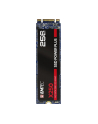 Emtec X250 SSD Power Plus 256 GB Solid State Drive (SATA 6 GB / s, M.2) - nr 9