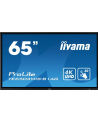 Iiyama TE6503MIS-B1AG, public display (black, UltraHD, infrared, touch, HDMI, VGA) - nr 1