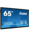 Iiyama TE6503MIS-B1AG, public display (black, UltraHD, infrared, touch, HDMI, VGA) - nr 72
