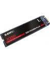 Emtec X250 SSD Power Plus 1TB Solid State Drive (SATA 6 GB / s, M.2) - nr 12
