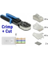 DeLOCK RJ45 Crimp + Cut tool set - nr 18