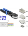 DeLOCK RJ45 Crimp + Cut tool set - nr 21