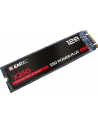 Emtec X250 SSD Power Plus 128 GB Solid State Drive (SATA 6 GB / s, M.2) - nr 7