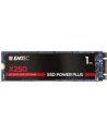 Emtec X250 SSD Power Plus 1TB Solid State Drive (SATA 6 GB / s, M.2) - nr 11