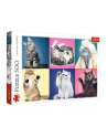 Puzzle 500el Kociaki 37377 TREFL - nr 3