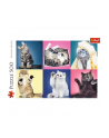 Puzzle 500el Kociaki 37377 TREFL - nr 4