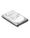 Dysk Twardy SATA 320GB ThinkPad 5400 rpm Serial ATA Hard Drive - nr 1