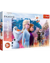Puzzle 24-Maxi Magiczna wyprawa Disney Frozen 2 14298 TREFL - nr 1