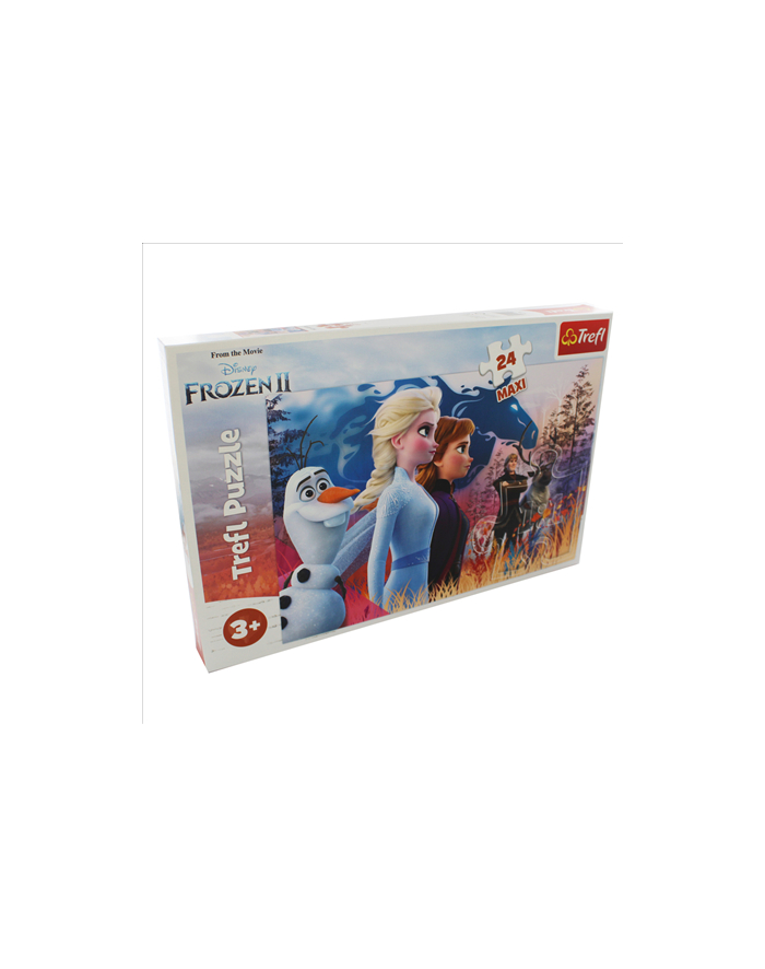 Puzzle 24-Maxi Magiczna wyprawa Disney Frozen 2 14298 TREFL główny