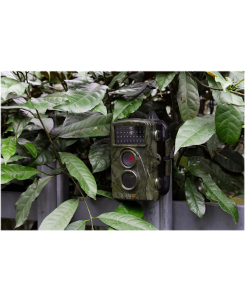 technaxx deutschland gmbh & co. kg TX-69 Nature Wild Cam Kamera myśliwska