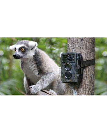 technaxx deutschland gmbh & co. kg TX-69 Nature Wild Cam Kamera myśliwska