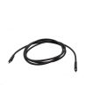 i-tec Kabel Thunderbolt3 40Gps Power Delivery 100W kompatybilny z USB-C 150cm - nr 10