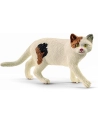 Schleich 13894 Kot amerykański krótkowłosy - nr 1