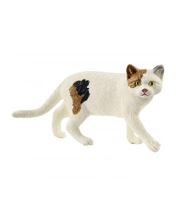 Schleich 13894 Kot amerykański krótkowłosy
