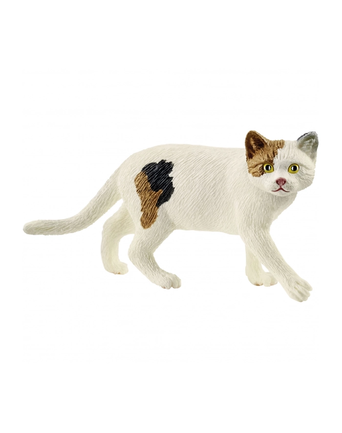 Schleich 13894 Kot amerykański krótkowłosy główny