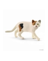 Schleich 13894 Kot amerykański krótkowłosy - nr 3