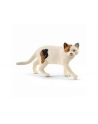 Schleich 13894 Kot amerykański krótkowłosy - nr 5