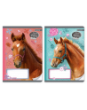 beniamin Zeszyt A5 16k kratka Nice&Pretty - Kids - nr 1
