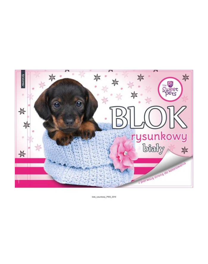 beniamin Blok rysunkowy biały A4/20k z pierwszą stroną do kolorowania The Sweet Pets Pies główny