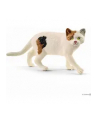 Schleich 13894 Kot amerykański krótkowłosy - nr 5