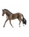 Schleich 13909 Wałach Trakehner - nr 4