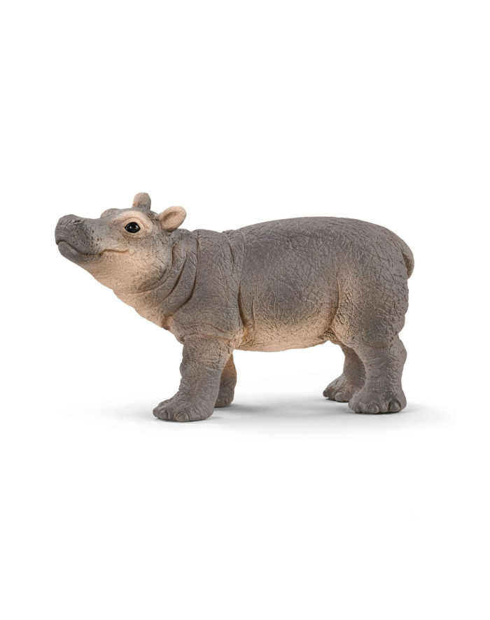 Schleich 14831 Hipopotam dziecko główny