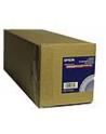 EPSON S041743 Premium semigloss photo paper inkjet 255g/m2 406mm x 30.5m 1 roll 1-pack - nr 1