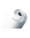 EPSON S041743 Premium semigloss photo paper inkjet 255g/m2 406mm x 30.5m 1 roll 1-pack - nr 3