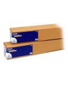 EPSON S042006 Semimatte proofing paper white inkjet 256g/m2 1118mm x 30.5m 1 roll 1-pack - nr 1