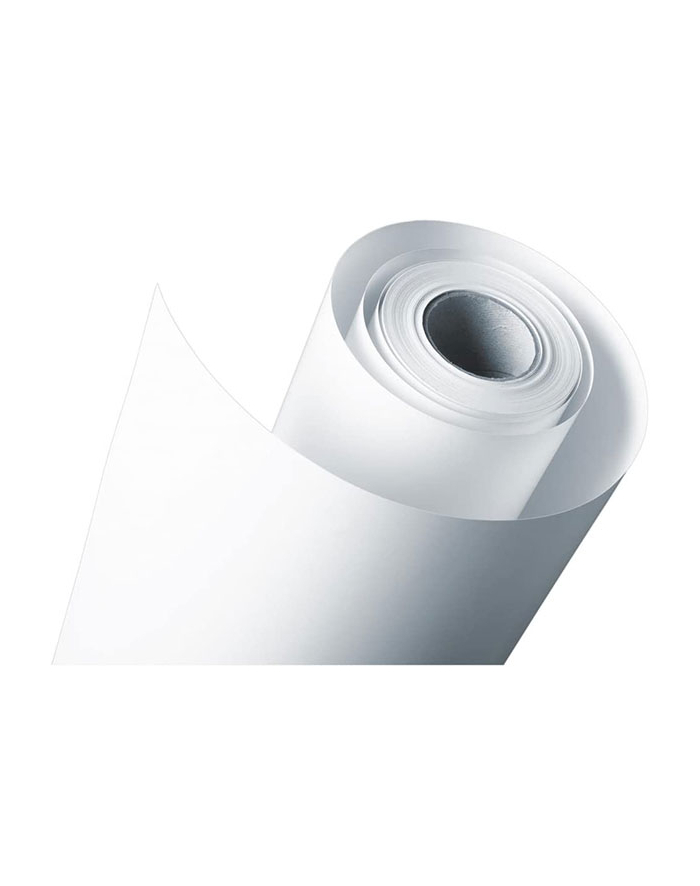EPSON S045008 Standard proofing paper inkjet 205g/m2 610mm x 50m 1 roll 1-pack główny