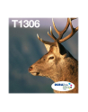 EPSON T1306 Multipack 3-colours EasyMail - nr 7