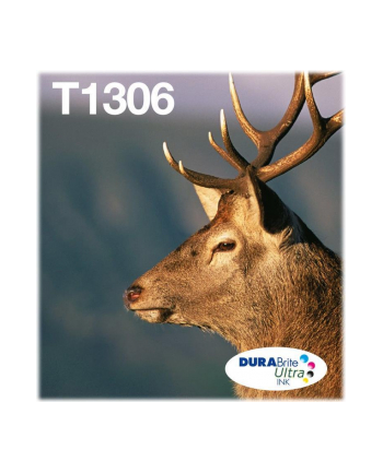 EPSON T1306 Multipack 3-colours EasyMail