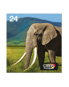 EPSON 24 Multipack 6-colours EasyMail - nr 10