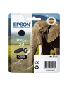 EPSON C13T24214012 Tusz Epson T2421 black 5,1 ml XP-750/850 - nr 8