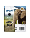 EPSON C13T24214012 Tusz Epson T2421 black 5,1 ml XP-750/850 - nr 7