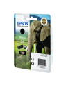 EPSON 24 ink cartridge black standard capacity 5.1ml 240 pages 1-pack RF-AM blister - nr 1