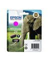 EPSON C13T24234012 Tusz Epson T2423 magenta 4,6 ml XP-750/850 - nr 10