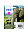 EPSON C13T24234012 Tusz Epson T2423 magenta 4,6 ml XP-750/850 - nr 11