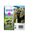 EPSON C13T24234012 Tusz Epson T2423 magenta 4,6 ml XP-750/850 - nr 12