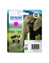 EPSON C13T24234012 Tusz Epson T2423 magenta 4,6 ml XP-750/850 - nr 9