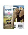 EPSON C13T24264012 Tusz Epson T2426 light magenta 5,1 ml XP-750/850 - nr 10
