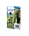 EPSON 24XL ink cartridge black high capacity 10ml 500 pages 1-pack RF-AM blister - nr 13
