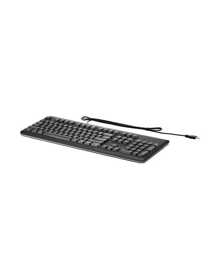 hp inc. HP Klawiatura USB Keyboard (2013 black design) główny